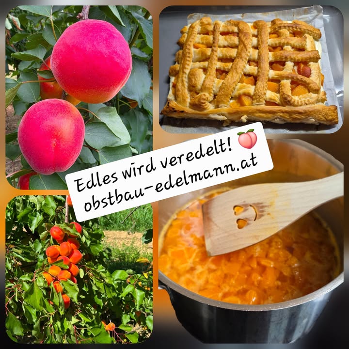 Obstbau Edelmann