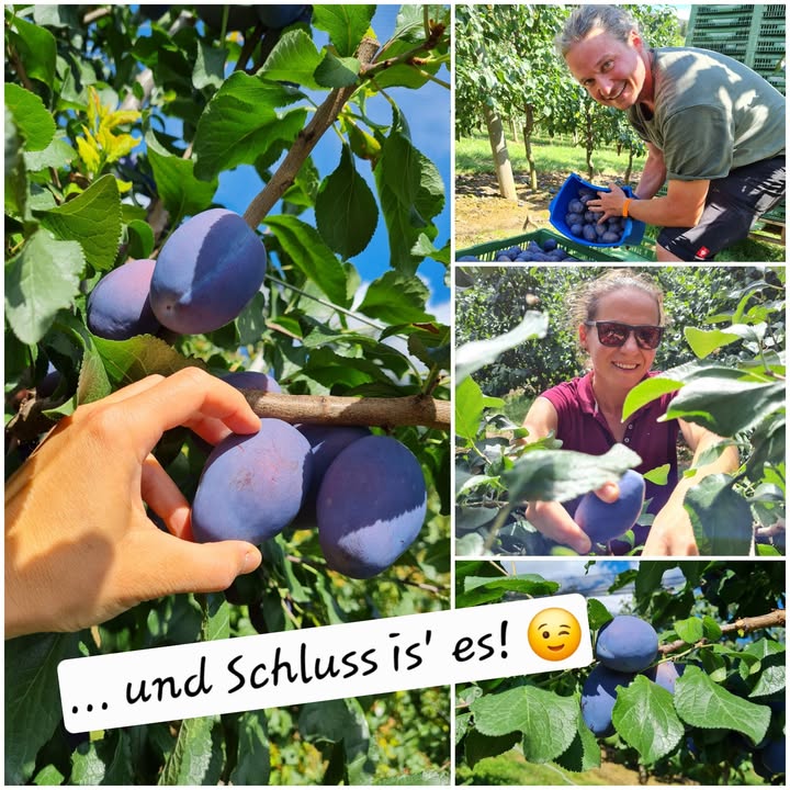 Obstbau Edelmann