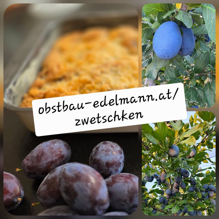 Obstbau Edelmann