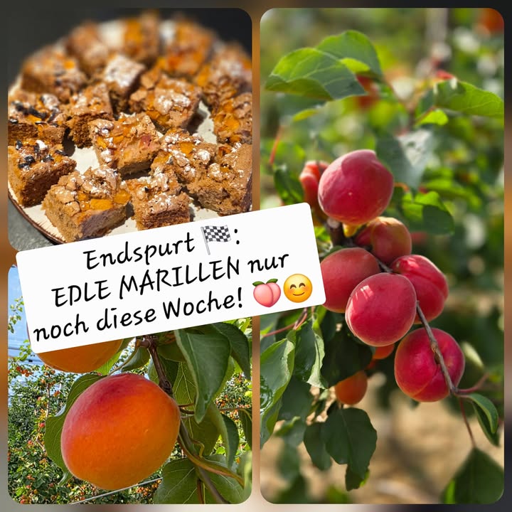 Obstbau Edelmann